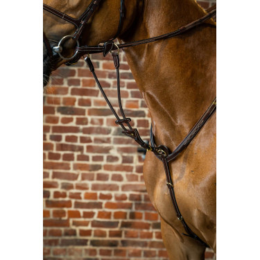 Forquilha de martingala com anéis elásticos D Collection by Dy'on Castanho