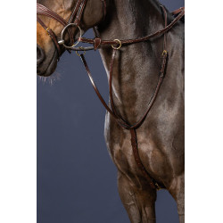 Martingal com Anéis D Collection da Dy'on Castanho