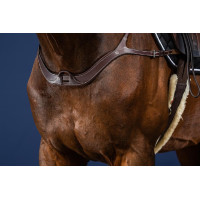 Peitoral Anatômico US Collection da Dy'on Castanho