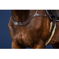 Peitoral Anatômico US Collection da Dy'on Castanho