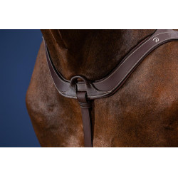 Peitoral Anatômico US Collection da Dy'on Castanho