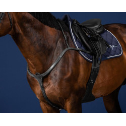 Peitoral Longo com Ponte US Collection da Dy'on