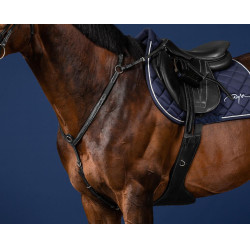 Peitoral com Ponte US Collection da Dy'on