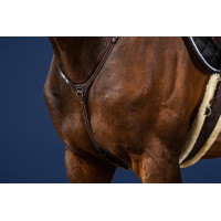 Coleção Yoke US da Dy'on Castanho Coleção Yoke US da Dy'on Castanho