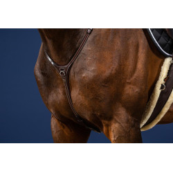 Coleção Yoke US da Dy'on Castanho Coleção Yoke US da Dy'on Castanho