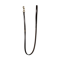 Trela Clássica para Cão Dy'on Castanho