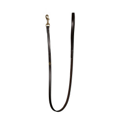 Trela Clássica para Cão Dy'on Castanho