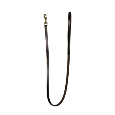 Trela Clássica para Cão Dy'on Castanho