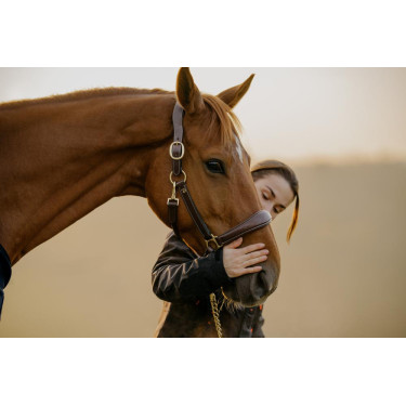 Cabresto de Couro D Collection by Dy'on Castanho Cabresto de Couro D Collection by Dy'on Castanho