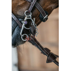 Pelham court Strap Dy'on Castanho