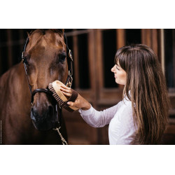 Escova macia com cerdas suaves Grooming Deluxe by Kentucky Escova macia com cerdas suaves Grooming Deluxe by Kentucky