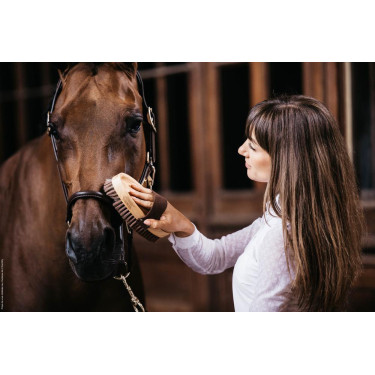 Escova macia com cerdas suaves Grooming Deluxe by Kentucky Escova macia com cerdas suaves Grooming Deluxe by Kentucky