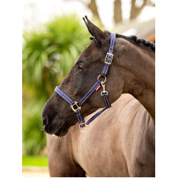 Cabeçada de neoprene LeMieux Essential Yard Cabeçada de neoprene LeMieux Essential Yard