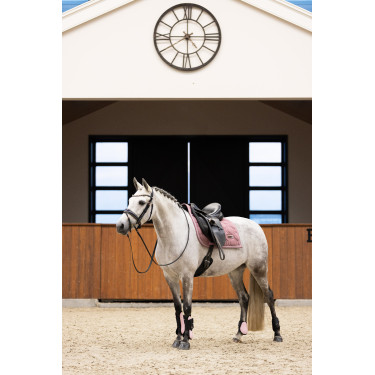Protetores de boleto Imperial Riding Lovely Protetores de boleto Imperial Riding Lovely