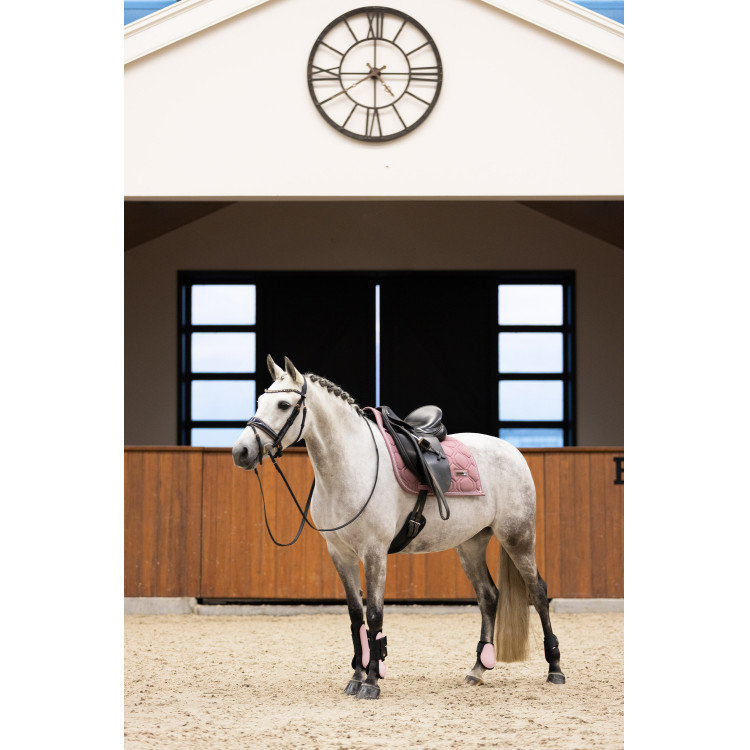 Protetores de boleto Imperial Riding Lovely Protetores de boleto Imperial Riding Lovely