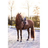Protetores de boleto Imperial Riding Lovely Cappuccino Castanho