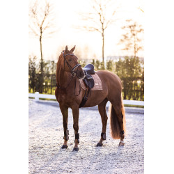 Protetores de boleto Imperial Riding Lovely Cappuccino Castanho