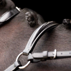 Martingale HV Polo Legacy Preto