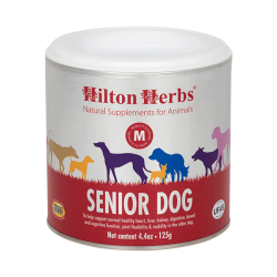 Cão idoso Hilton Herbs