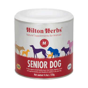 Cão idoso Hilton Herbs