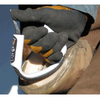 RAPE RADIUS RASP ORIGINAL