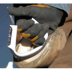 RAPE RADIUS RASP ORIGINAL