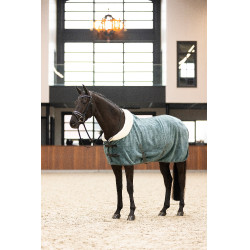 Cobertor polar Imperial Riding Ambient Galaxy Verde sálvia Cobertor polar Imperial Riding Ambient Galaxy Verde sálvia