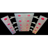 Solarium S20L EVOlution