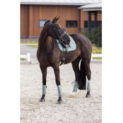 Almofada de sela Imperial Riding Sky DR Verde sálvia Almofada de sela Imperial Riding Sky DR Verde sálvia
