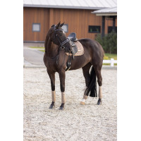 Almofada de sela Imperial Riding Sky DR Cappuccino Castanho