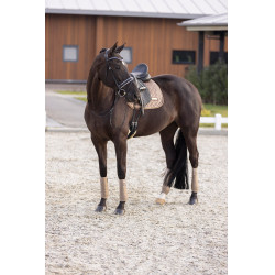 Almofada de sela Imperial Riding Sky DR Cappuccino Castanho Almofada de sela Imperial Riding Sky DR Cappuccino Castanho