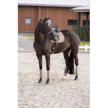 Almofada de sela Imperial Riding Sky DR Cappuccino Castanho Almofada de sela Imperial Riding Sky DR Cappuccino Castanho