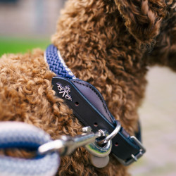 Coleira para cão HV Polo Franka Rope Marinho / rosa Azul