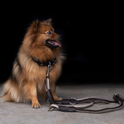 Coleira para cão HV Polo Franka Rope Marrom / bege Castanho