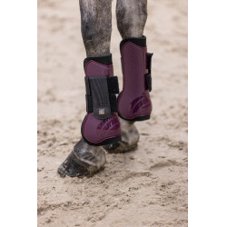 Guetes Imperial Riding Lovely Amora Bord&amp;ocirc;