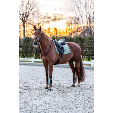 Guetes Imperial Riding Lovely Verde sálvia Guetes Imperial Riding Lovely Verde sálvia