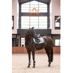 Guetes Imperial Riding Lovely Verde sálvia Guetes Imperial Riding Lovely Verde sálvia