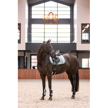 Guetes Imperial Riding Lovely Verde sálvia Guetes Imperial Riding Lovely Verde sálvia