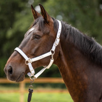 Caveção HV Polo Skye Branco Caveção HV Polo Skye Branco