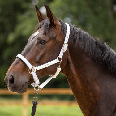 Caveção HV Polo Skye Branco