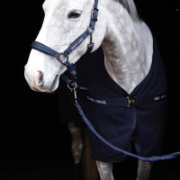 Cobertor Kingsland KLhenley favo de mel Marinho Azul-marinho Cobertor Kingsland KLhenley favo de mel Marinho Azul-marinho