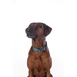 Coleira HKM Anam Cara de nylon Petróleo Azul