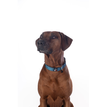 Coleira HKM Anam Cara de nylon Petróleo Azul