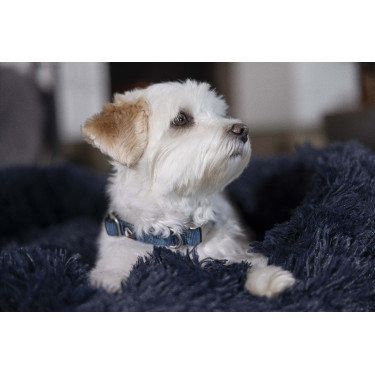 Coleira HKM Anam Cara de nylon Petróleo Azul