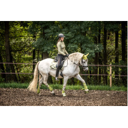 Sinos HKM Edinburgh Pistache Verde