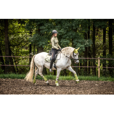 Sinos HKM Edinburgh Pistache Verde