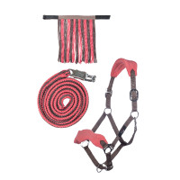Conjunto de cabeçada HKM com mosquetão de segurança e franjas removíveis Moka / rosa leitoso Conjunto de cabeçada HKM com mosquetão de segurança e franjas removíveis Moka / rosa leitoso