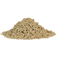 Best Hoof Biotine Horse Master