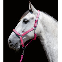 Cabresto Stars Softice forro macio HKM Amarelo fluorescente Cabresto Stars Softice forro macio HKM Amarelo fluorescente