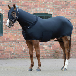 Capa WeatherBeeta Stretch